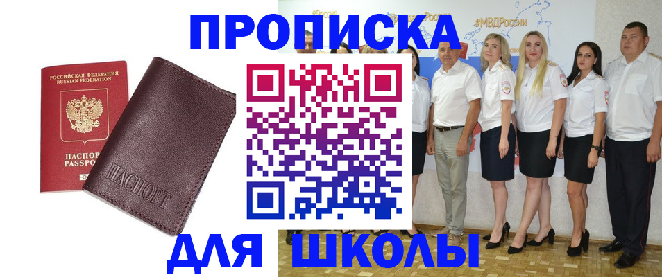 где прописаться в Павловске